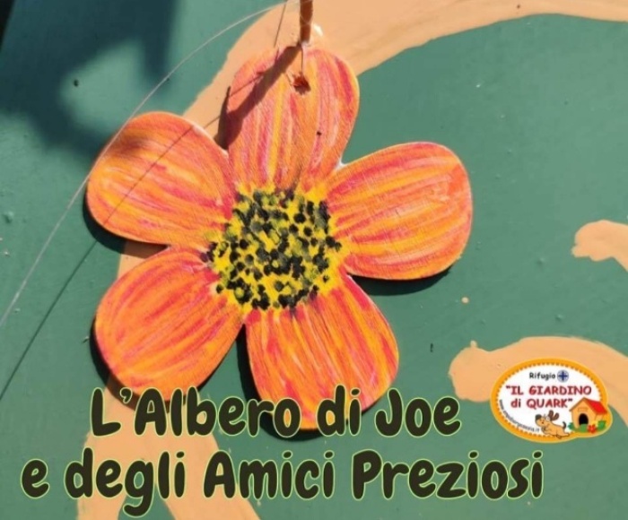 L&#039;albero di Joe e degli Amici Preziosi
