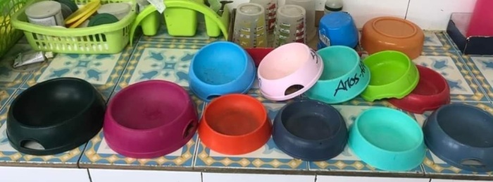 Ci riempi la ciotola?Sos cibo per gatti