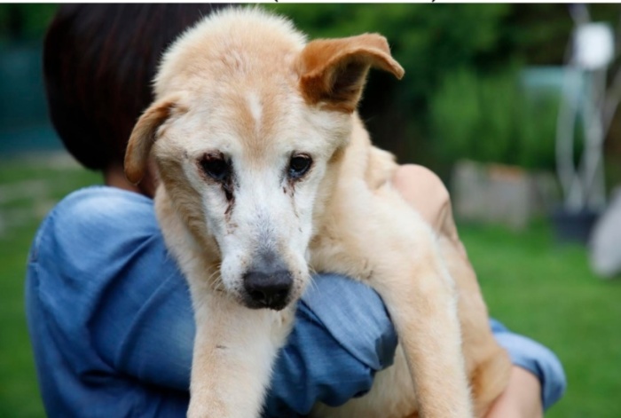 Che cos&#039;è la Resilienza?