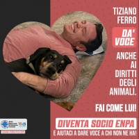 150 ANNI DI AMORE PER GLI ANIMALI, LI PROTEGGIAMO TUTTI DAL 1871 CONTINUEREMO A FARLO ANCHE GRAZIE A TE!