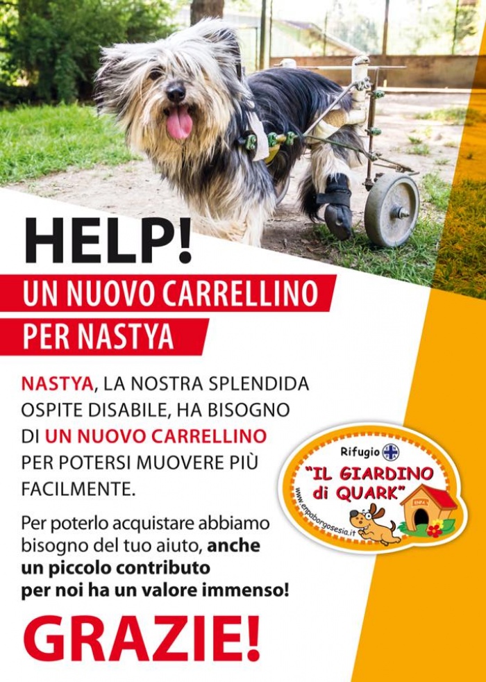 Un carrellino nuovo per Nastya